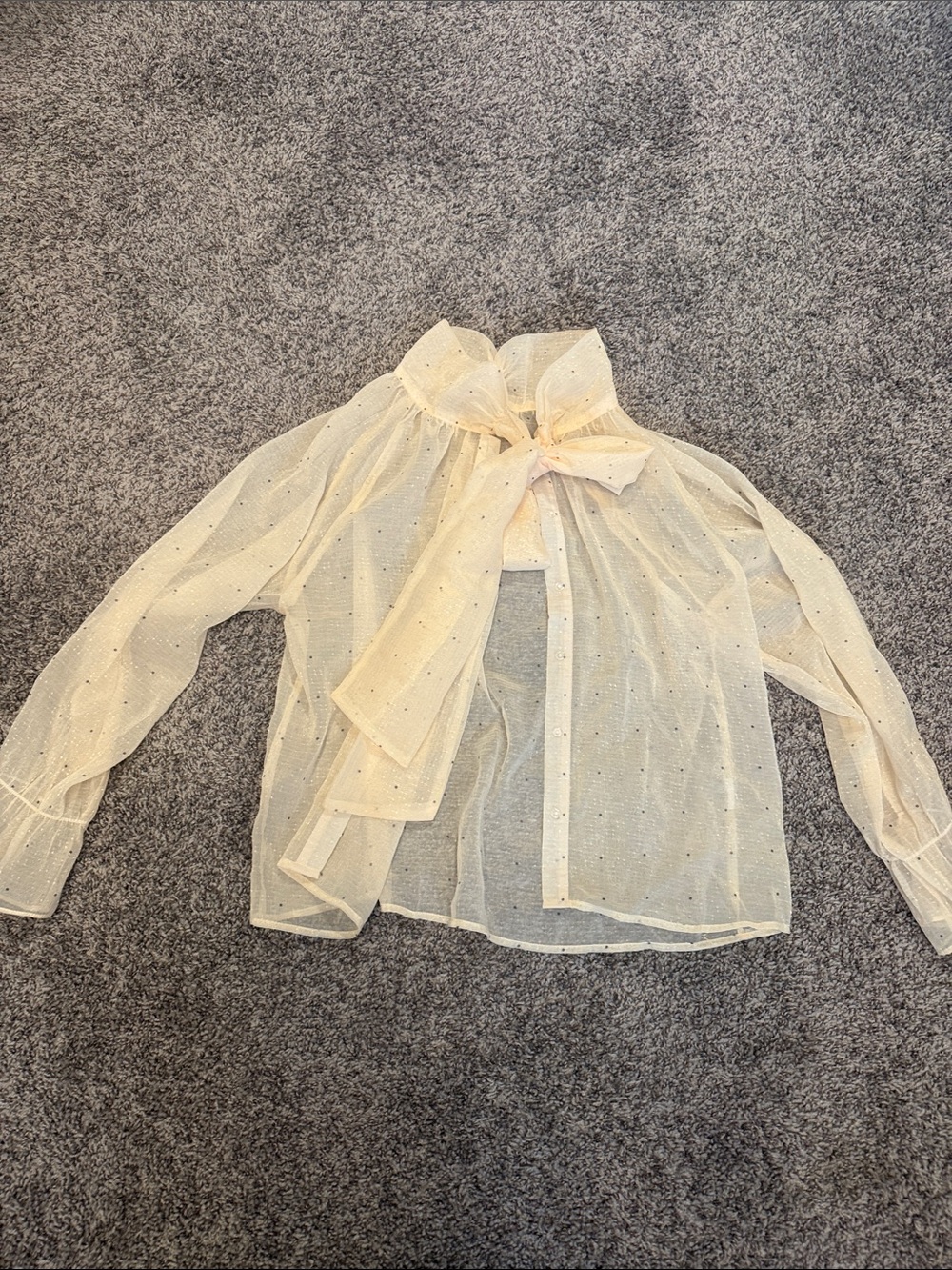 Sheer Ivory Bow Tie Blouse